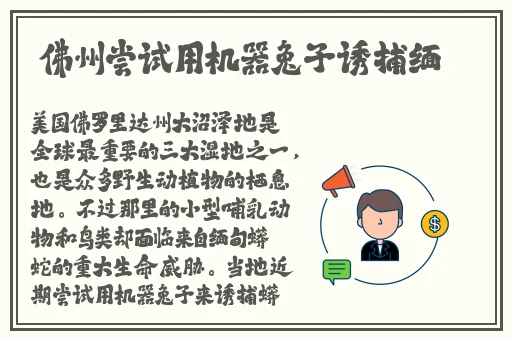 丰裕纵满杨玉环